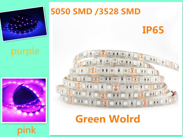 5m/lot 5050/2835SMD purple/pink special color 300SMD /600SMD high quality waterproof IP65 for outdoor hot sale strip MiNi order 5pcs