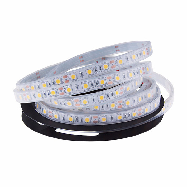 LED Strips Lights Blue White Warm White Multicolor RGB IP68 in The Water Fish Tank Lighting 5M Swimming Pool Light Strip DC12V