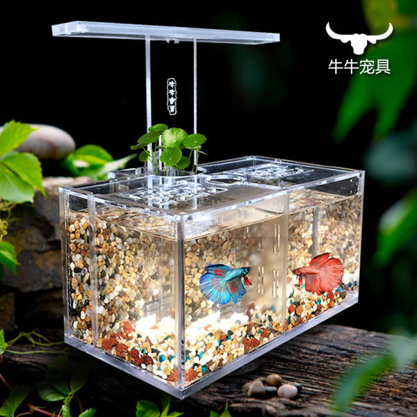 Acrylic fish tank water free isolation box office desk LED desk lamp pump filter ecological small aquarium