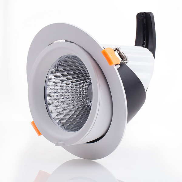 40W Recessed Adjustable high quality COB LED Trunk Light CRI>80 PF>0.95 with Ce RoHS Approval