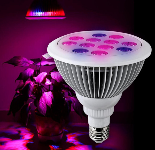 12W 24W PAR38 E27 LED Grow Light Indoor Plant Bulb Garden Greenhouse Hydroponic Plant Full Spectrum Input Voltage AC 85-265V