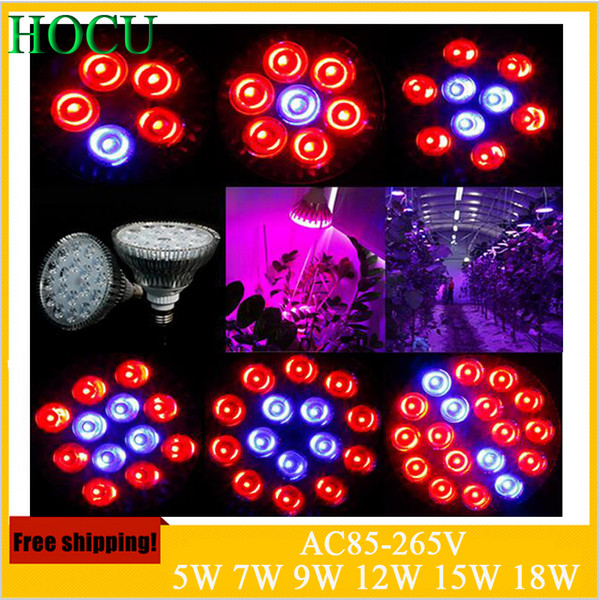 Full spectrum 5W7W9W12W15W18W E27 PAR30 PAR38 LED Grow Light for Flowers Plant and Hydroponic System High Brightness