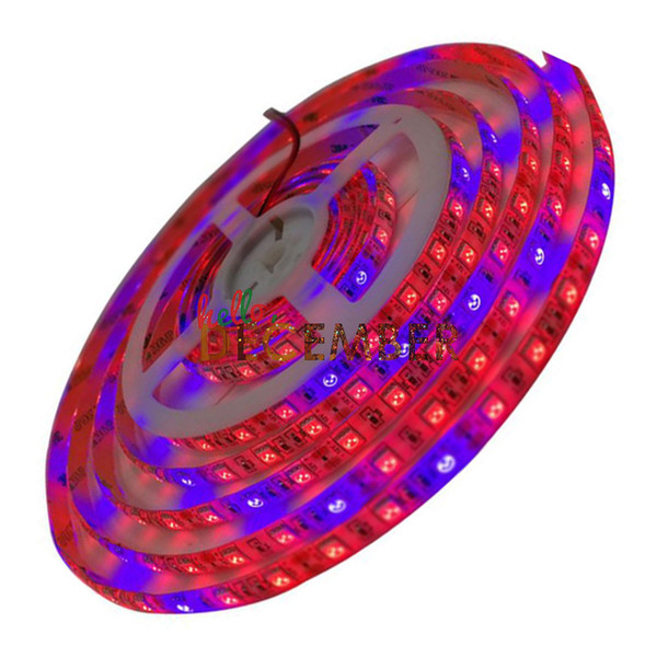 Red Blue Full Spectrum LED Plant Grow Light Strips 12V 60LEDs/M SMD5050 Waterproof LED Growing Lights For Greenhouse Hydroponic Plant