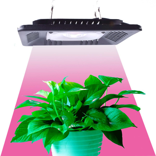 MasterGrow 100w 200w 300w COB Led Grow Light Full Spectrum Ultra-Thin Waterproof IP67 Flowers Growing Lamp for Vegetables Bloom Indoor Plant