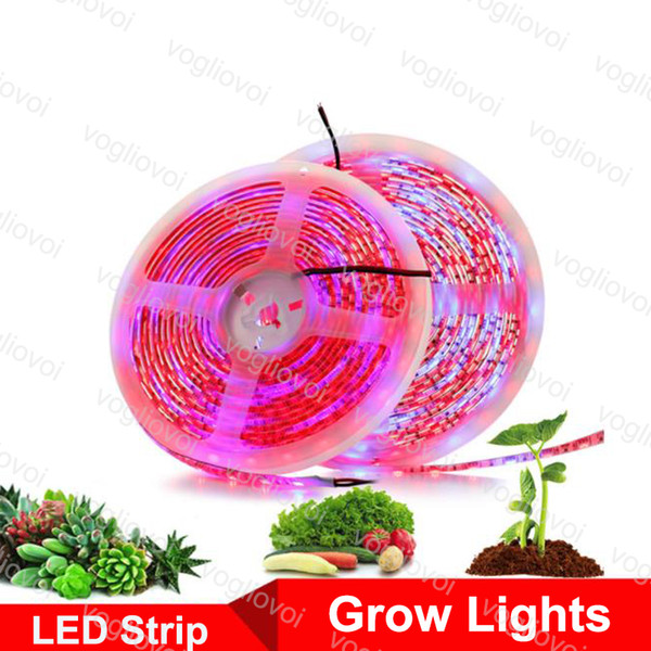 LED Grow Lights 5M Phyto Lamps Full Spectrum LED Strip Light 300 LEDs 5050 Chip Fitolampy Waterproof For Greenhouse Hydroponic plant DHL