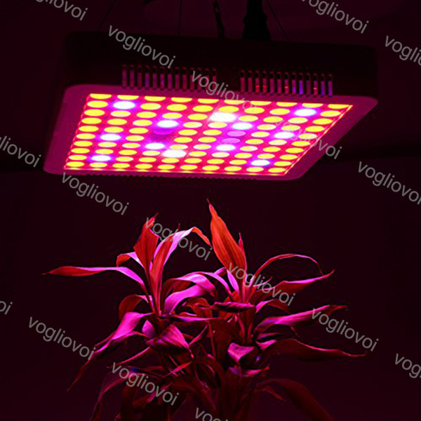 Full Spectrum 300W Led Grow Light Square Good Radiator Led Grow Tent Covered Green houses Lamp Plant Grow Lamp for Veg Flowering DHL