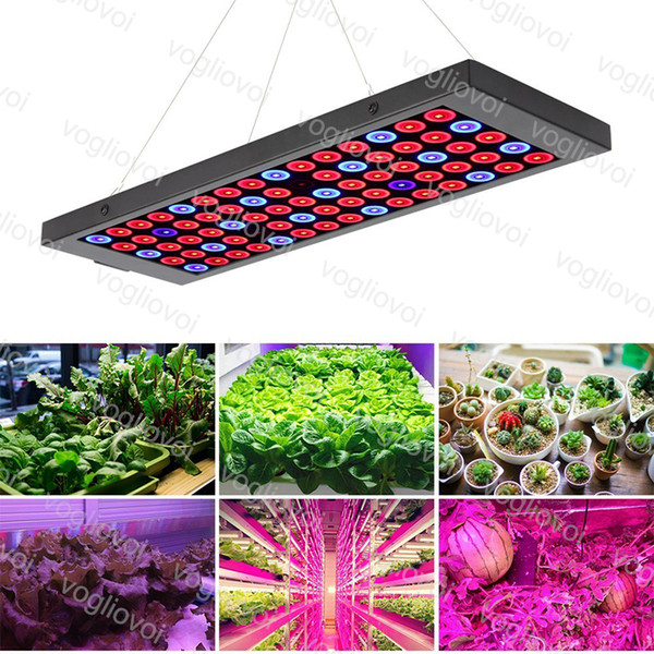 Full Spectrum Led Grow Light 40W Ultra Led Grow 0.3m Tent Covered Green houses Lamp Plant Grow Lamp for Veg Flowering Aluminium DHL