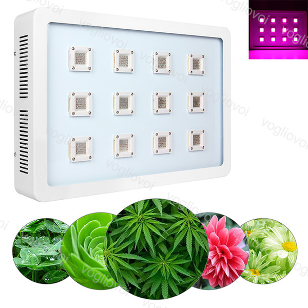 X12 3600W COB Full Spectrum LED Grow Light Led Grow Lights Greenhouse Veg And Bloom Grows Hydroponic Systems DHL