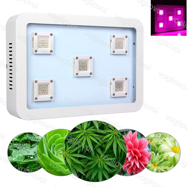 X5 1500W COB Full Spectrum LED Grow Light Led Grow Lights Greenhouse Veg And Bloom Grows Hydroponic Systems DHL