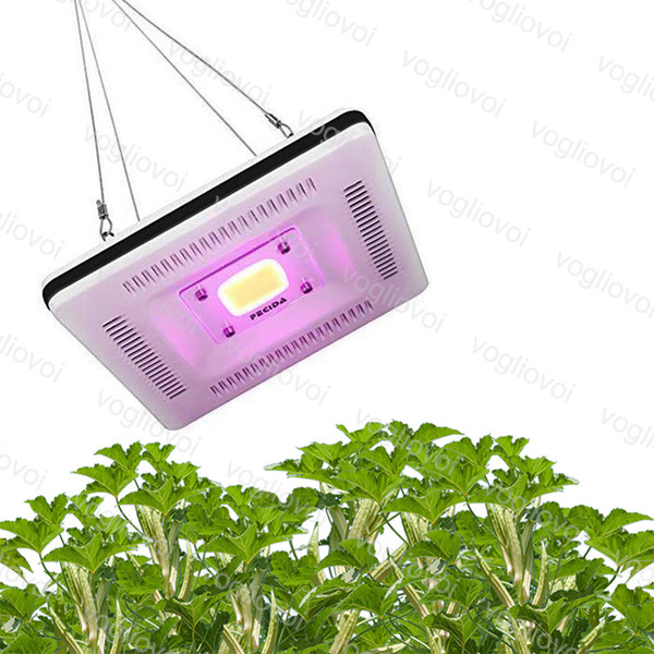 Full Spectrum led grow lights 50W COB Indoor Plant Vegetable Flower Growing Flood Light Without Noice DHL