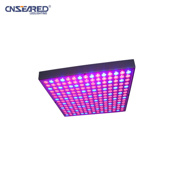 E27 45W IP44 3528smd red blue emitting color LED plant grow fill light for fruit vegetable flower household