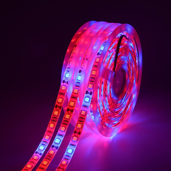 LED Grow light Full Spectrum 5M LED Strip light 5050 LED Flower Plant Phyto Growth lamps For Greenhouse Hydroponic Plant Growing