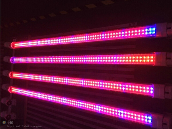 T5 Tube Grow Lamp 18w 12.7W 120cm T8 LED Plant grow Light Red and Blue PSE/CE/T-Tick/RoHS/UL/5 years warranty