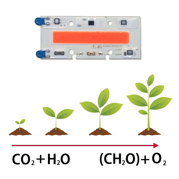 10PCS/LOT 30W 50W 70W Full spectrum LED COB 110/220V Smart IC Grow Light Plant Growth Lamp