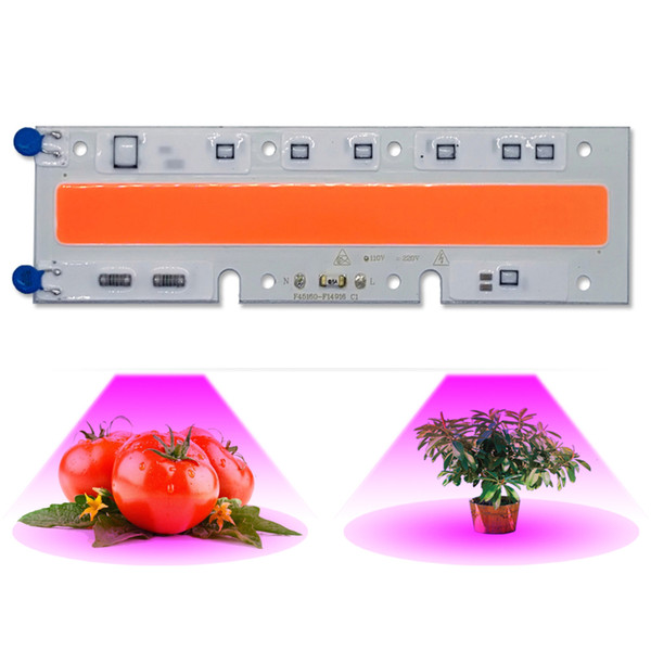 5PCS/LOT 30W 50W 70W Full spectrum LED COB 110/220V Smart IC Grow Light Plant Growth Lamp