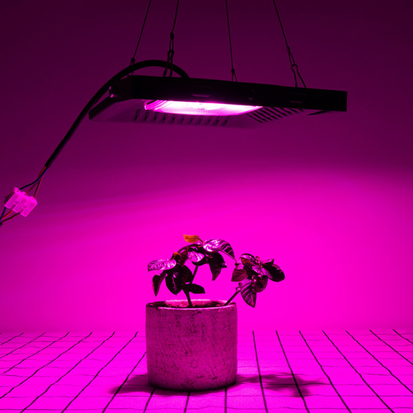 6PCS/LOT Full Spectrum Waterproof IP67 LED COB CHIP GROW LIGHT Ultra-Thin LED Grow Lamp for Vegetables Bloom Indoor Outdoor Plant