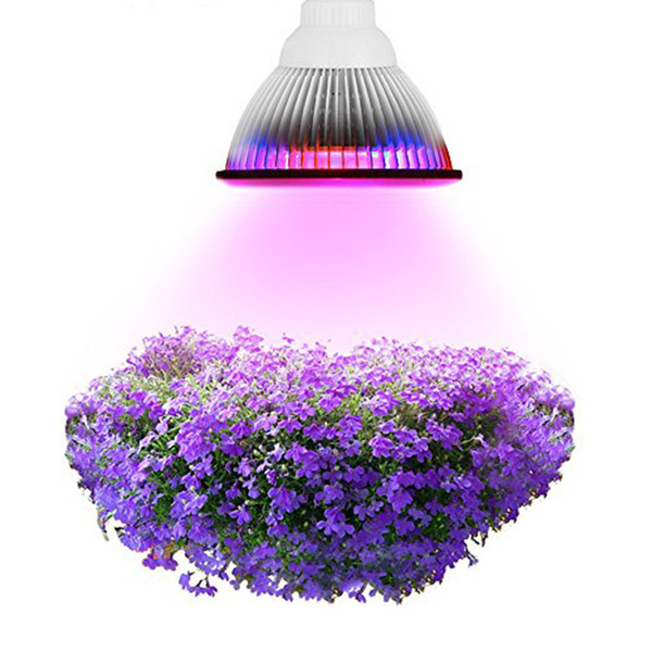 12W 24W 36W Led Grow Lamp Phyto E27 Light Led For Plant 110V 220V Light Red Blue led Plants Growth Bulb GR-003