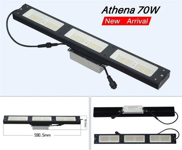 Full Spectrum Athena 70W SMD LED Plant Grow Light Lamp Grow Lights Led Bar For Vertical Farming Hydroponic