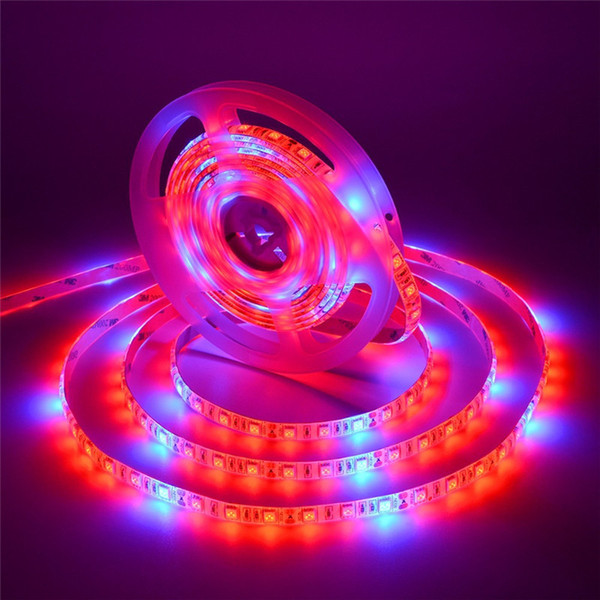 300LED 5M SMD 5050 Waterproof LED Plant Grow Strip Light Set Full Spectrum Red Blue 5:1 Strip Grow Light Greenhouse Hydroponic Plant