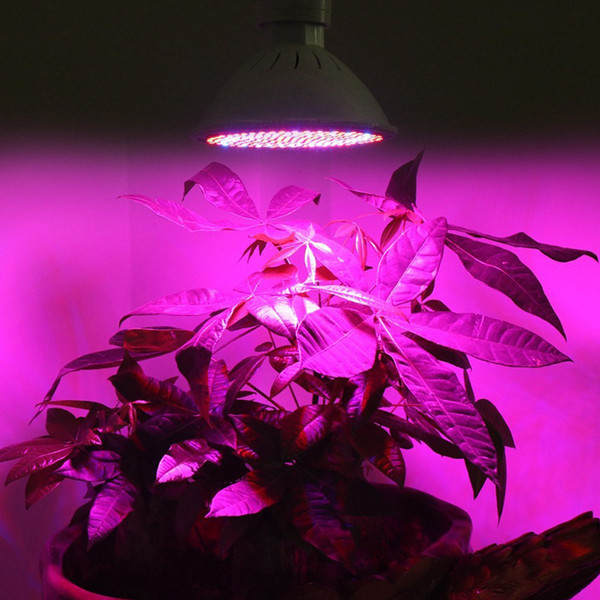 Full Spectrum E27 200pcs LED Plant Grow Light Bulb Lamp For Indoor Garden Plants Flower Hydroponics Grow Tent Box GR-009