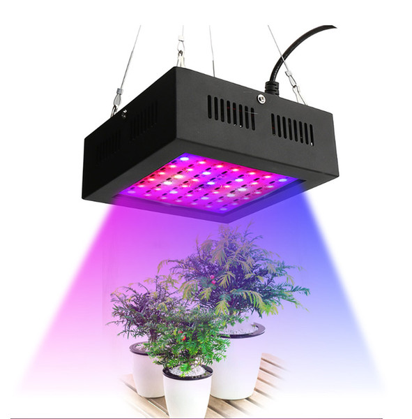 80W Mini LED Grow Light Full Spectrum Indoor Greenhouse grow tent plants growth Red Blue EU AU US UK Plug Panel Light GR-007