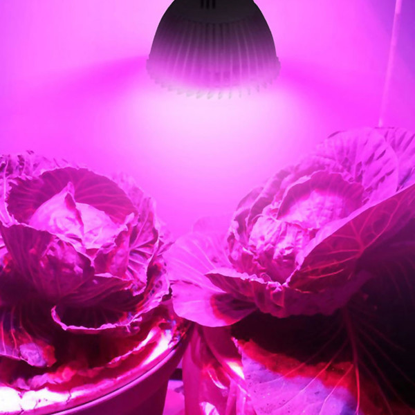 Full Spectrum E27 E14 G10 LED Plant Grow Light Bulb Lamp For Indoor Garden Plants Flower