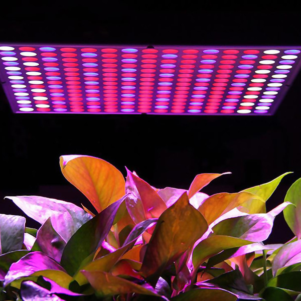 Best LED Grow Light 45W Double Chip Full Spectrum for Indoor Aquario Hydroponic Plant Flower LED Grow Light High Yield GR-006