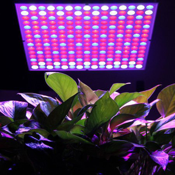 Free Shipping 2pcs/Lot 100LED 300W Square SMD3030 R+B+W+UV+IR LED Grow Light for Greenhouse Indoor Plant AC85-265V