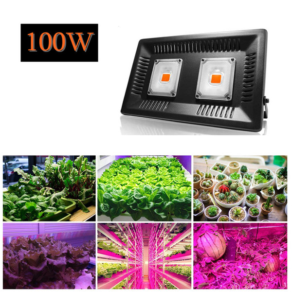 2pcs/Lot Free Shipping Waterproof IP67 100W Full Spectrum COB LED Grow Light for Outdoor Plant Growing