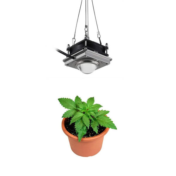 New COB 200W plant growth lamp,Dapeng greenhouse plant light supplement lamp,Plant,flower,vegetable helps grow lamp