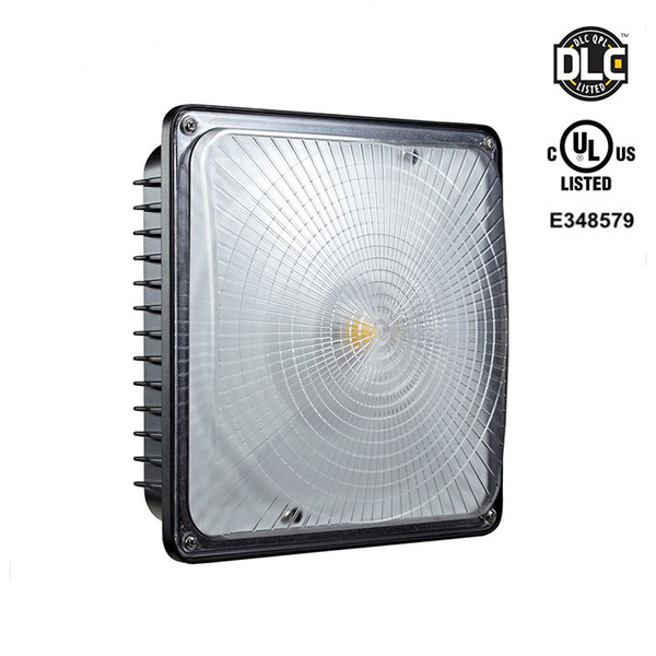 Premium listed LED canopy lights Retrofit led canopy light 40W 60W 80W Led Floodlights For Warehouse Workshop Hall Lobby UL CUL DLC