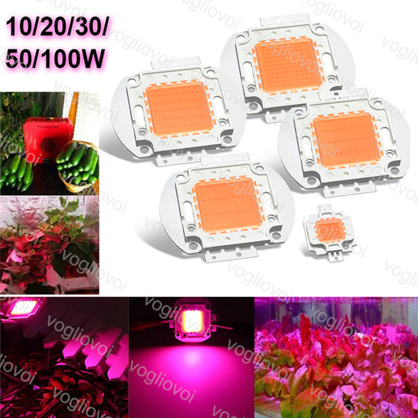 LED Grow Lights COB Chip 10W 20W 30W 50W 100W Full Spectrum For Grwon Lights Greenhouse Grow Tent Plants Flower DIY 30MIL Epacket