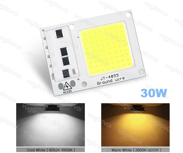 Smart IC COB AC220V 30W High Power Chip Led Bead with Transformer For Projectors DIY Flood Light Highbay Spotlight Outdoor Lamp