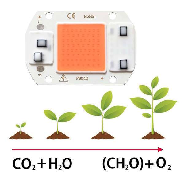 Full spectrum led cob chip 10W 20W 30W 50W Smart ic driver 220V 110V Input led beads instead of sunlight indoor planting vegetables flowers