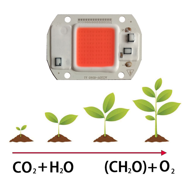 5pcs/lot Led Grow Light Chip 20W 30W 50W AC220V/110V Full Spectrum 380nm~780nm Best for Hydroponics Greenhouse Grow DIY for LED Lamp