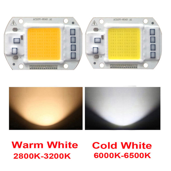 5PCS/LOT LED COB Chip 20W 30W 50W AC110V input IP65 Smart IC Driver Fit For DIY LED Floodlight Street lamp Cold White Warm White