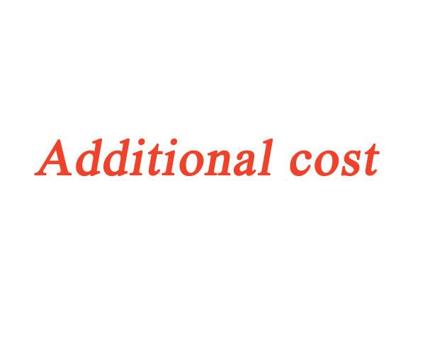 Additional cost for shipping, or replacement light