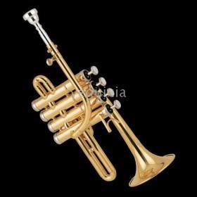 Wholesale - New JBPT-600 PICCOLO TRUMPET JINBAO