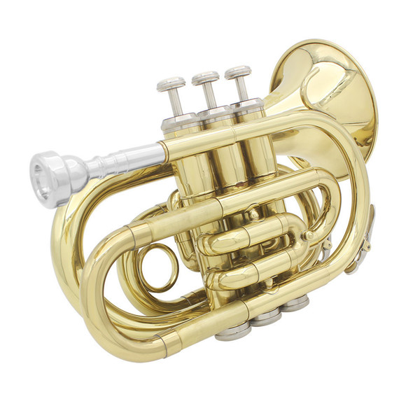 Direct sale of gold professional grade blow pipe instrument wholesale