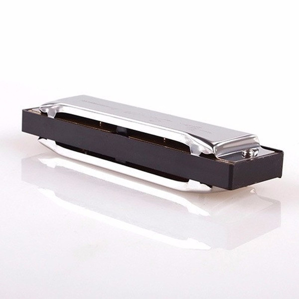 D19 Key of G New Silver Swan Harmonica 10 Holes Blues Rock Jazz Folk Harmonicas armonica g professionale