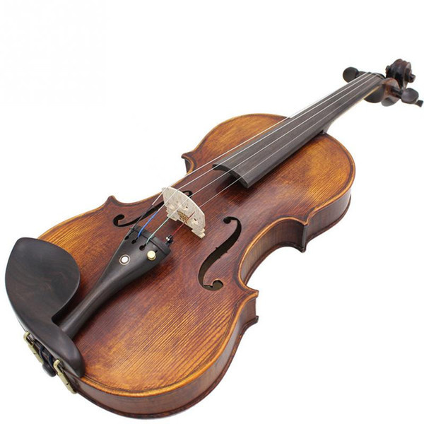 wholesale Professional 4/4 Maple Wood Violin Set with Carry Case Strings/Sordine/shoulder rest/tuner Violino Instrument