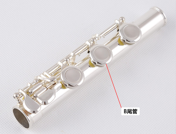 Japan KUNO Flute KFL-902 Closed-hole C tune for beginners silver plated Exam 16 holes closed E key flute