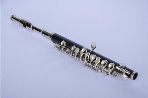 ABS body piccolo with nickel plated keys and nickel plated headjoint