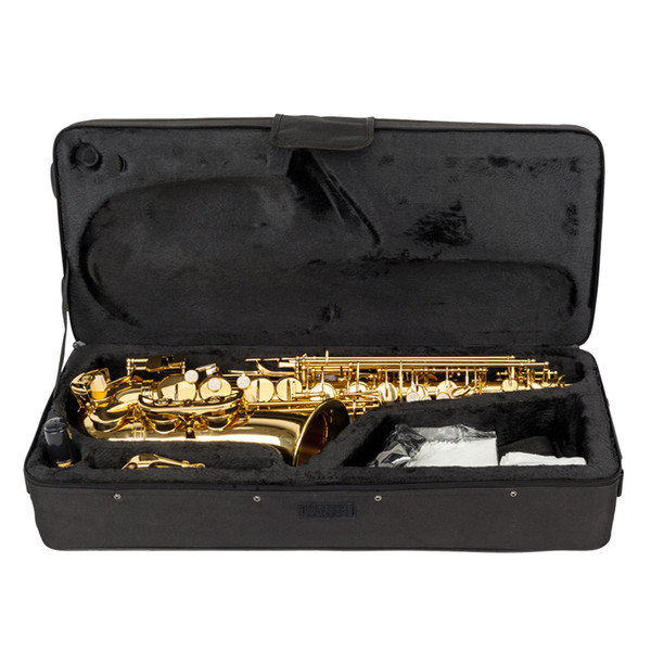 Professional Brand New Falling Tune E Alto Saxophone Set Paint Gold for Popular Brass Musical Instruments