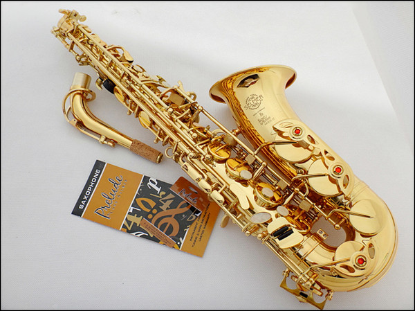 Professional-grade Salma 802 E-flat alto sax instrument Electrophoresis gold / send reed