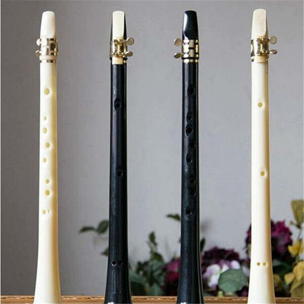 New Black White Arrival Simple Type Little Saxophone Mini Alto Saxophone Tone C Woodwind Musical Instruments