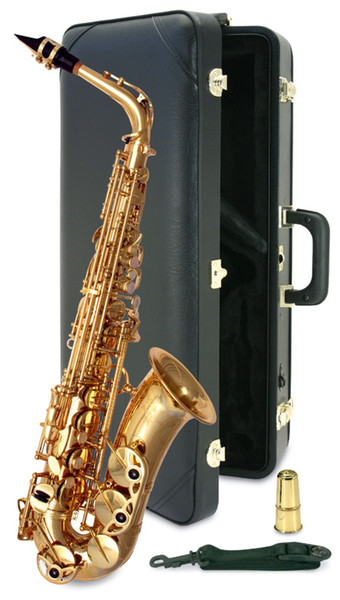 Brand New YANAGISAWA Alto Saxophone A-992 Gold Lacquer Sax Professional Mouthpiece Patches Pads Reeds Bend Neck