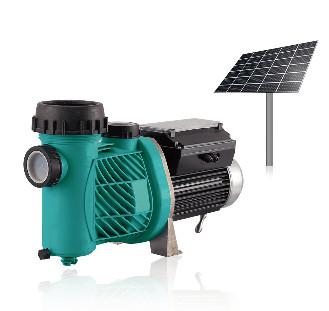 2018 year very hot sale , Advanced three phase brushless DC motorbrand 8m lift 36v 110v dc solar powered swimming pool water pump