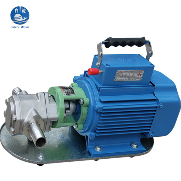 WCB-50p 550w stainless steel high temperature electric waste gear oil pump auto