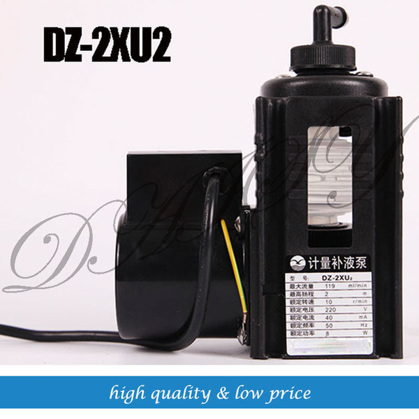 Doing Water Pump DZ-2XU2 220V AC Chemical Metering Developing Replenish Pumps Etching cleaning of electronic basicplate printing